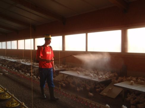 PiP Rueckenspritze Tierhaltung